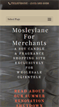 Mobile Screenshot of mosleylaneformerchants.com